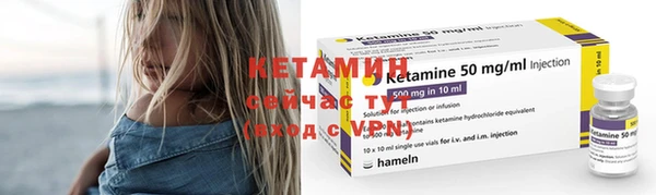 прущие грибы Верхний Тагил