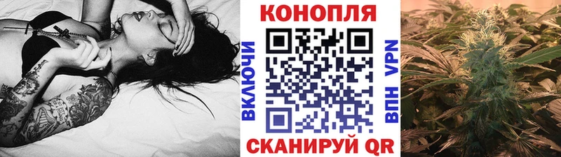 Шишки марихуана семена Звенигово